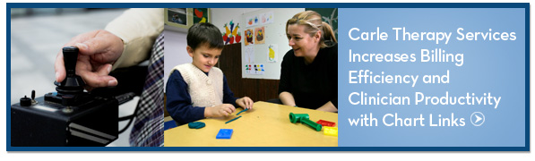 occupational therapy software 